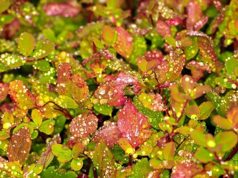 FRAMKVÆMDASJÓÐUR FERÐAMANNASTAÐA AUGLÝSIR EFTIR STYRKUMSÓKNUM - OPNAÐ FYRIR UMSÓKNIR 8. SEPTEMBER