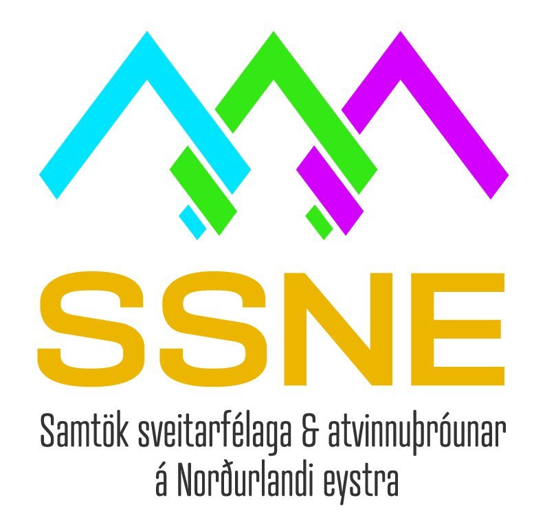 Sviðs­stjóri atvinnu- og byggða­þró­unar á Húsavík