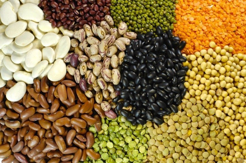 Þróunarfræ – nýr styrktarflokkur 