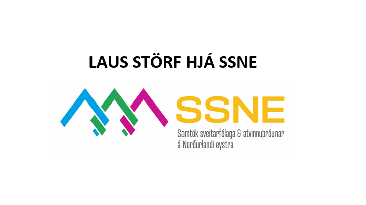 Laust starf hjá SSNE:  Verkefnastjóri - Fjármál og rekstur