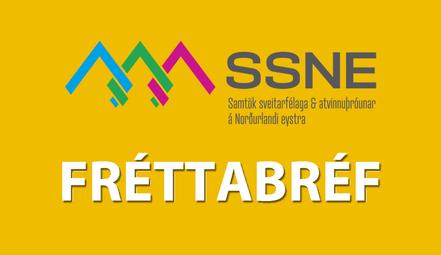 Starfsemi SSNE í september: fréttabréfið góða