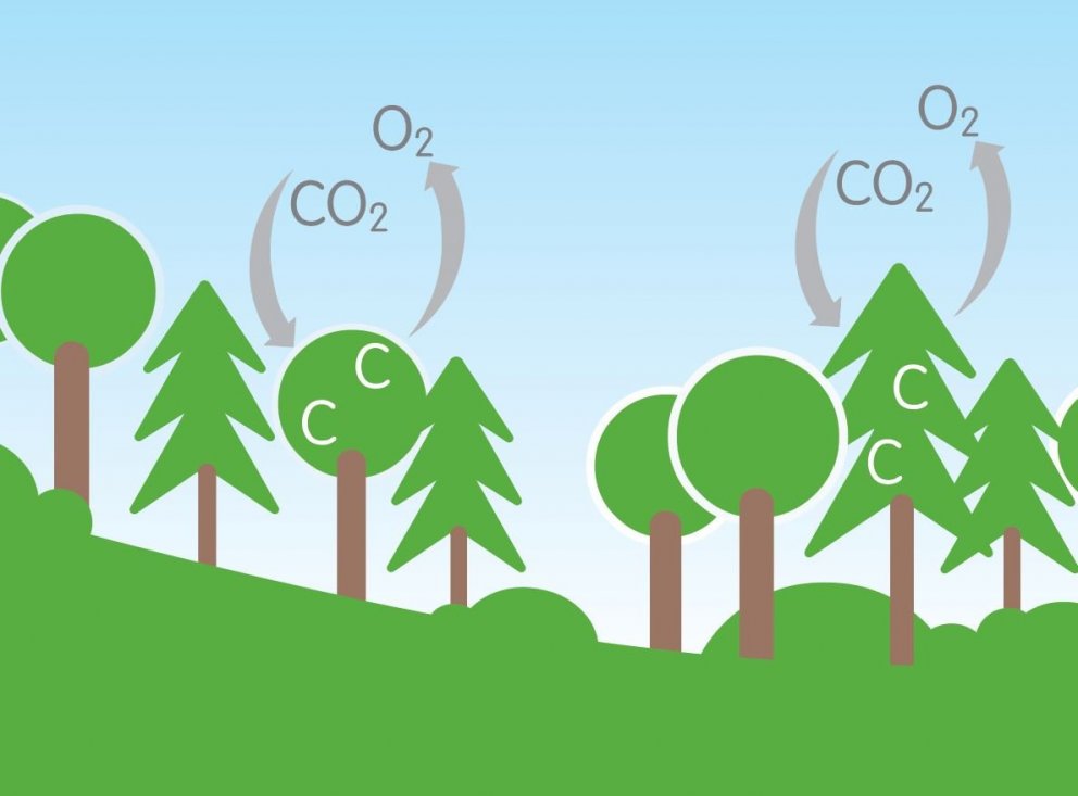 Til­nefn­ing­ar til Lofts­lags­við­ur­kenn­ing­ar 2021