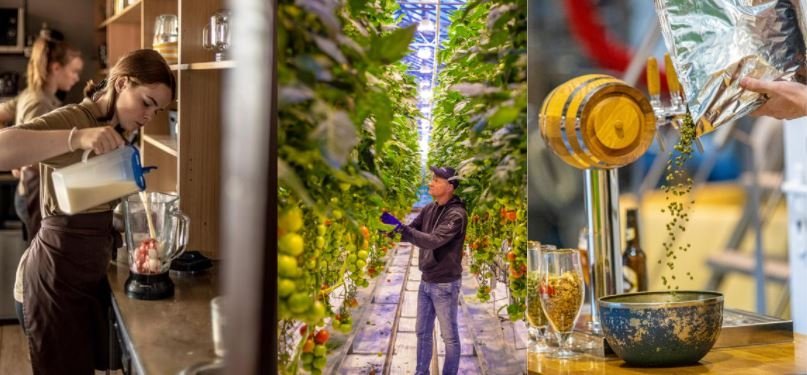 Myndin er samsett. Ljósmyndir frá MN.