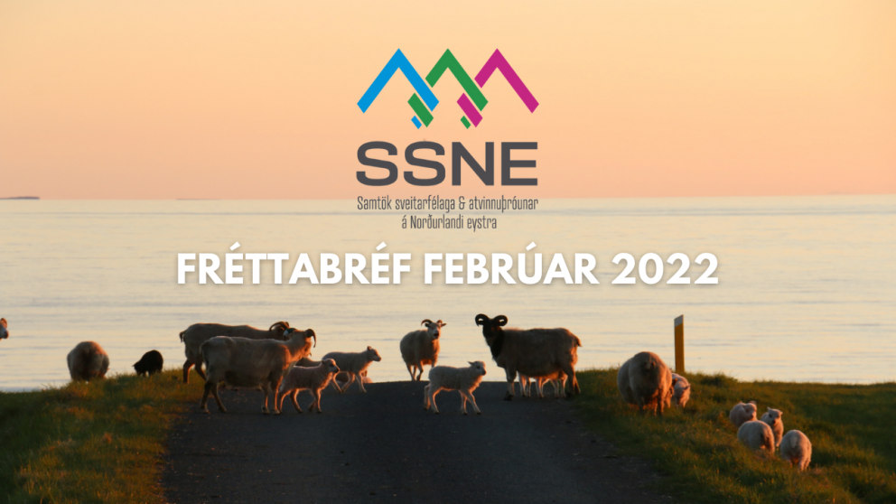 Brot af því besta frá febrúarmánuði - Fréttabréf SSNE