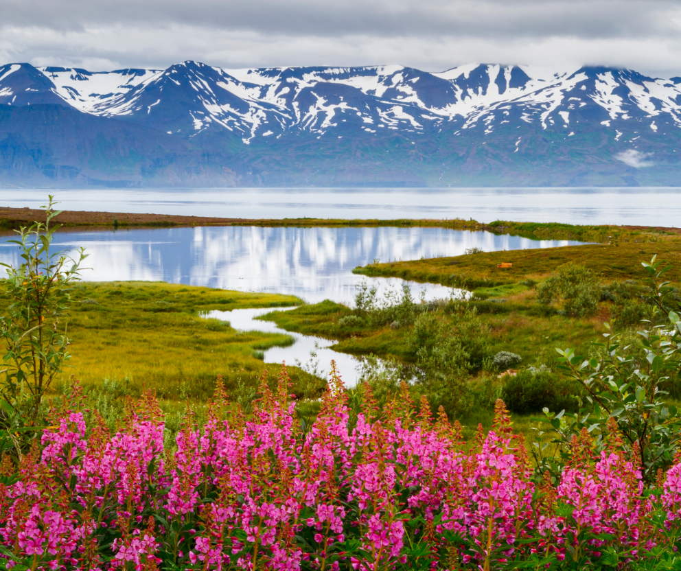 Yfir hundrað milljónir í styrki til fjölbreyttra umhverfisverkefna