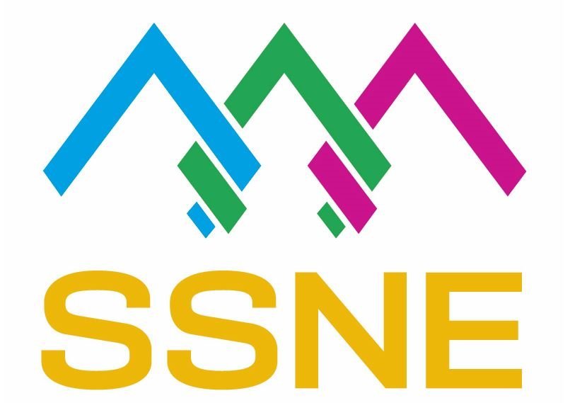 SSNE leitar að framkvæmdastjóra