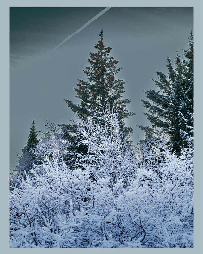 Viðvera starfsfólks um hátíðarnar