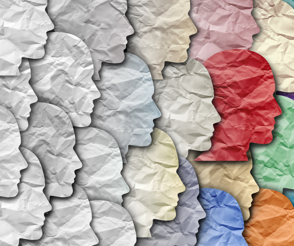 Fjölmenningarráð SSNE fundaði í vikunni