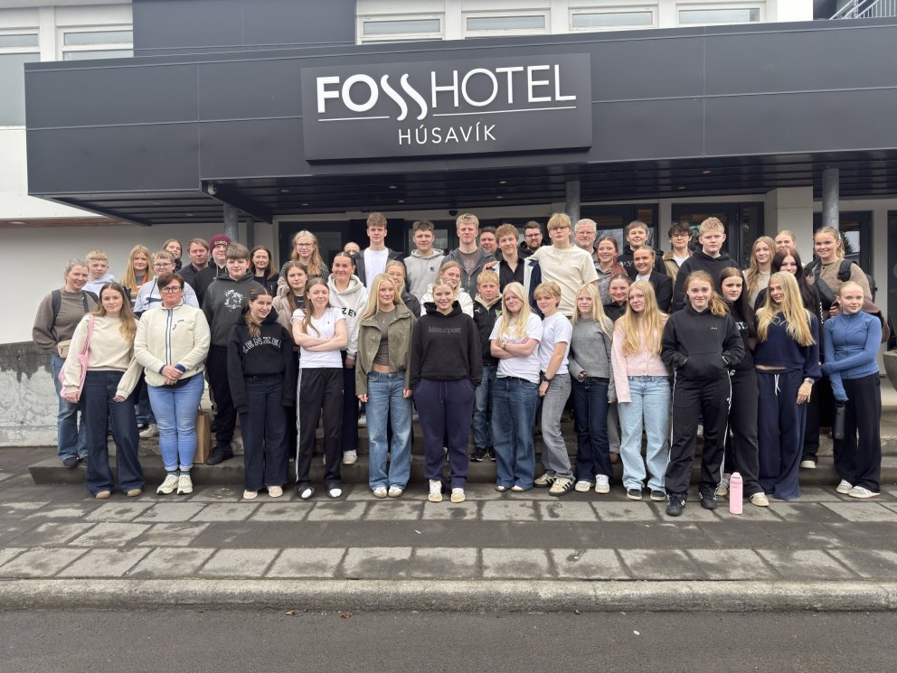 Ungmennaþing SSNE 2026