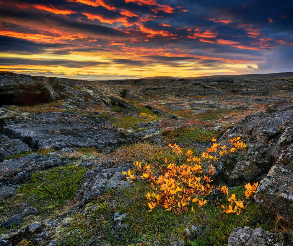 Svæðisáætlun um meðhöndlun úrgangs á Norðurlandi send til samþykkis