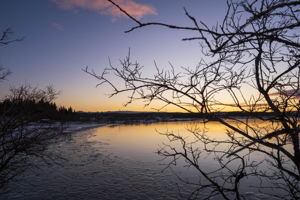 Styrkveitingar haustið 2020