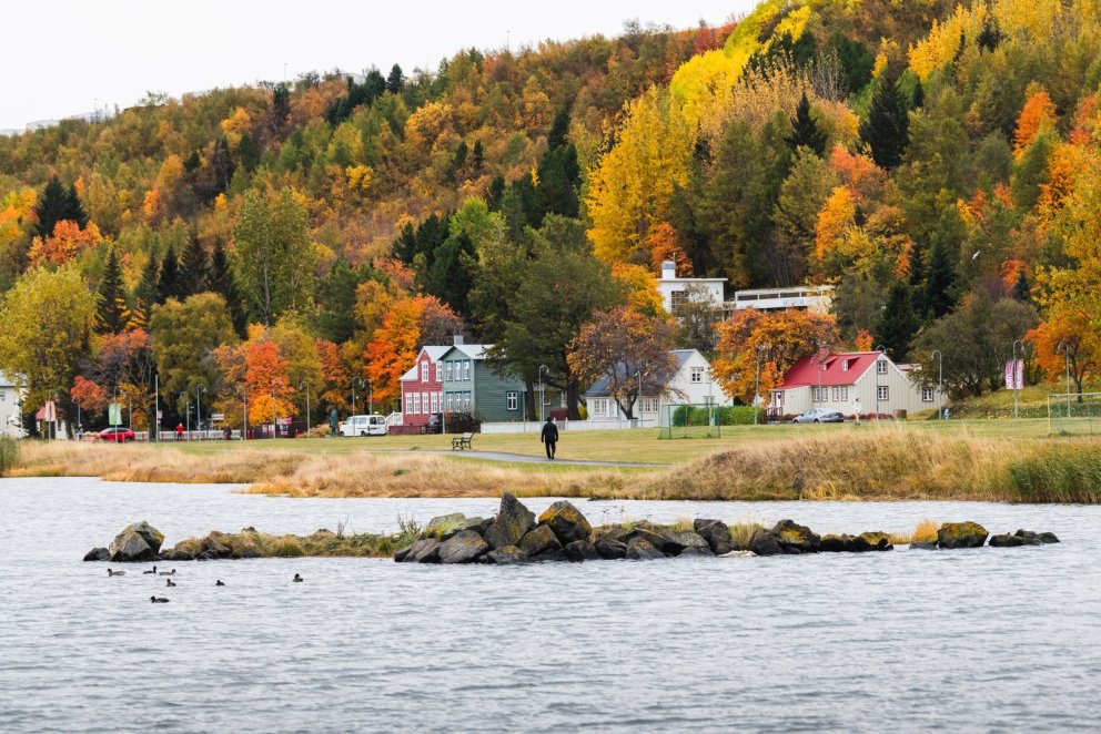 Pistill framkvæmdastjóra