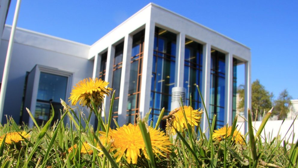 Sumarið er mætt í garð Amtsbókasafnsins, mynd fengin að láni af facebook síðu safnsins