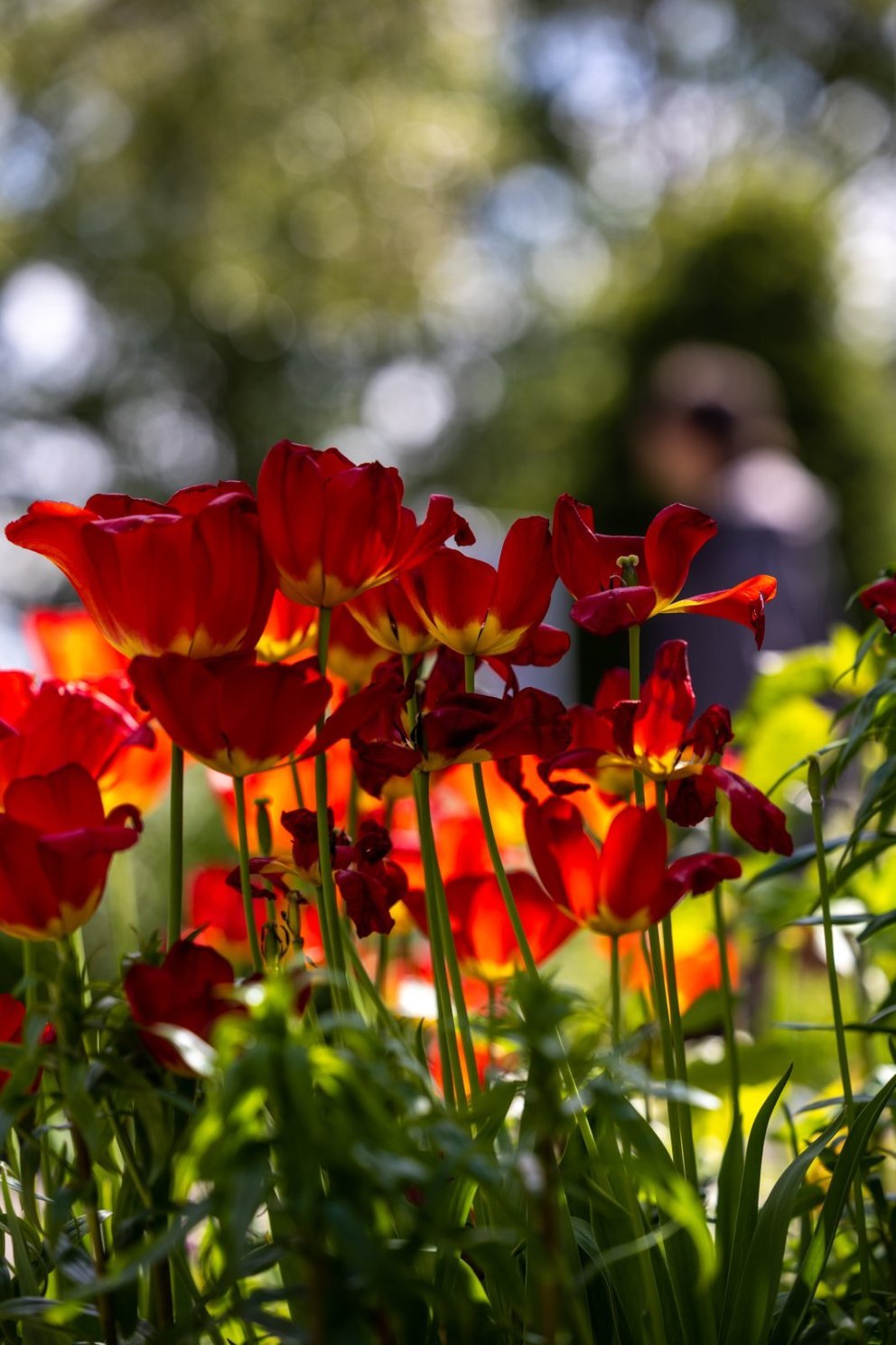 Sjálfbært viðburðahald