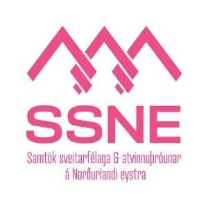 Ársþing SSNE 2020