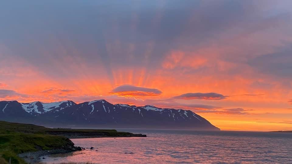 Er Dalvíkurbyggð að leita að þér ?
