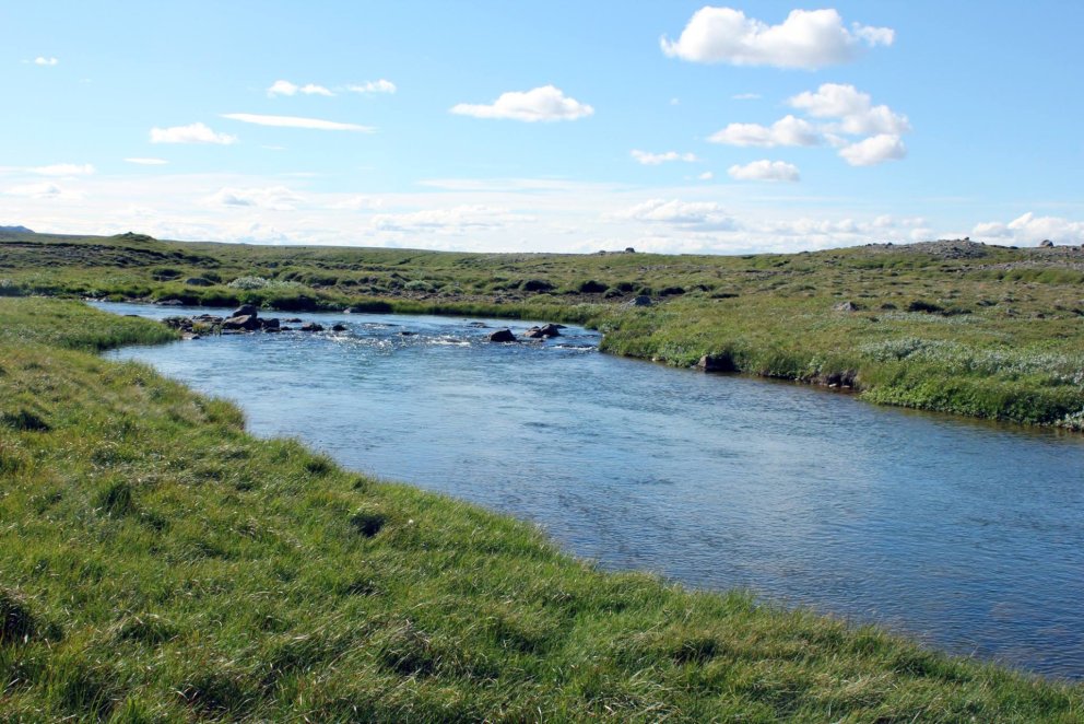 Deildará við Raufarhöfn