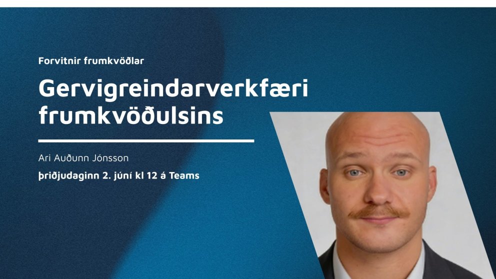 Forvitnir frumkvöðlar - Gervigreindarverkfæri frumkvöðulsins