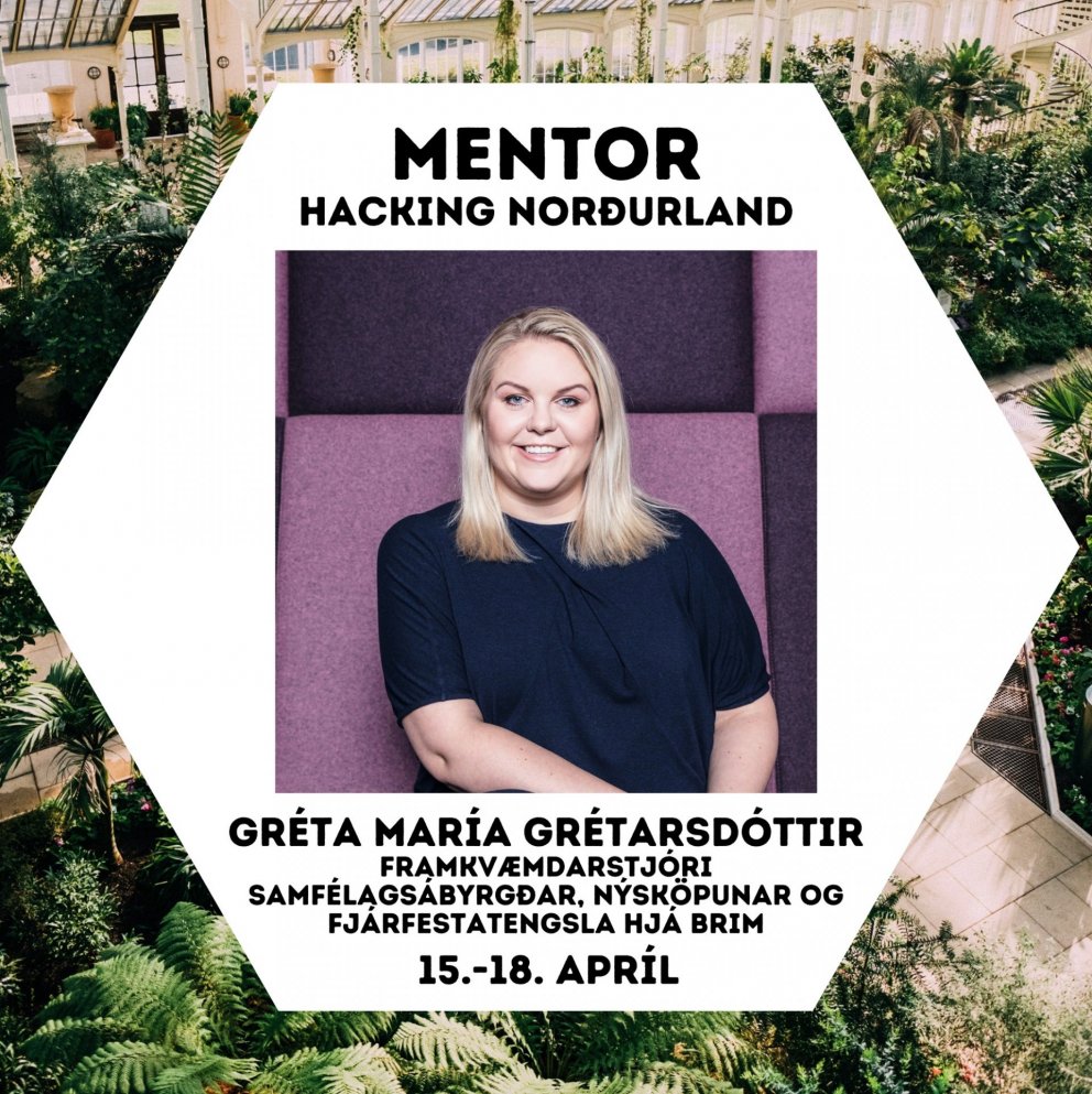 Mentorar og verðlaun Hacking Norðurlands