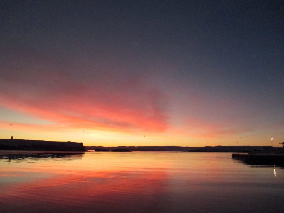 Mynd:  Gunnar Páll Baldursson