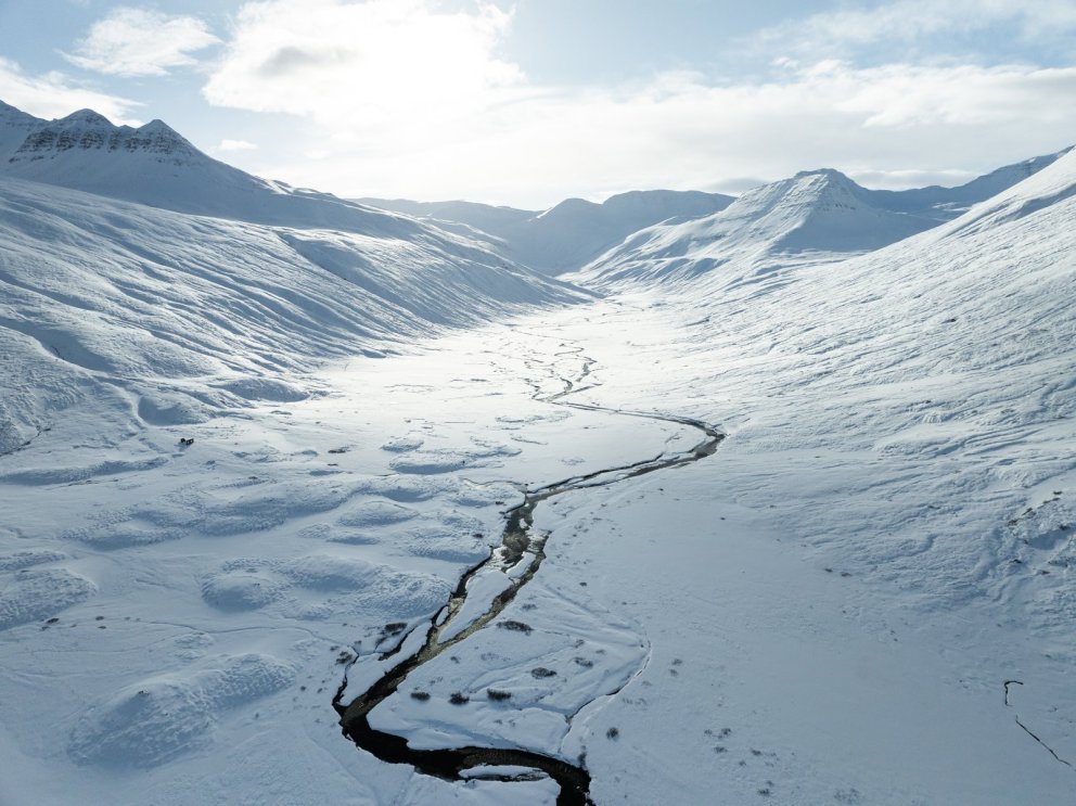 Ársþing SSNE fært yfir í netheima!
