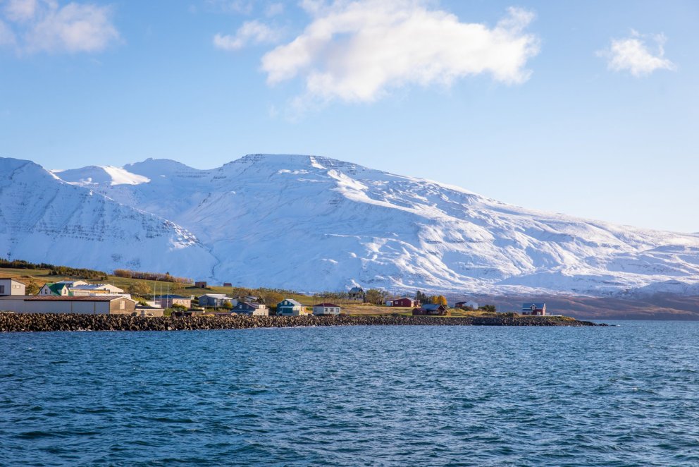 Pistill framkvæmdastjóra