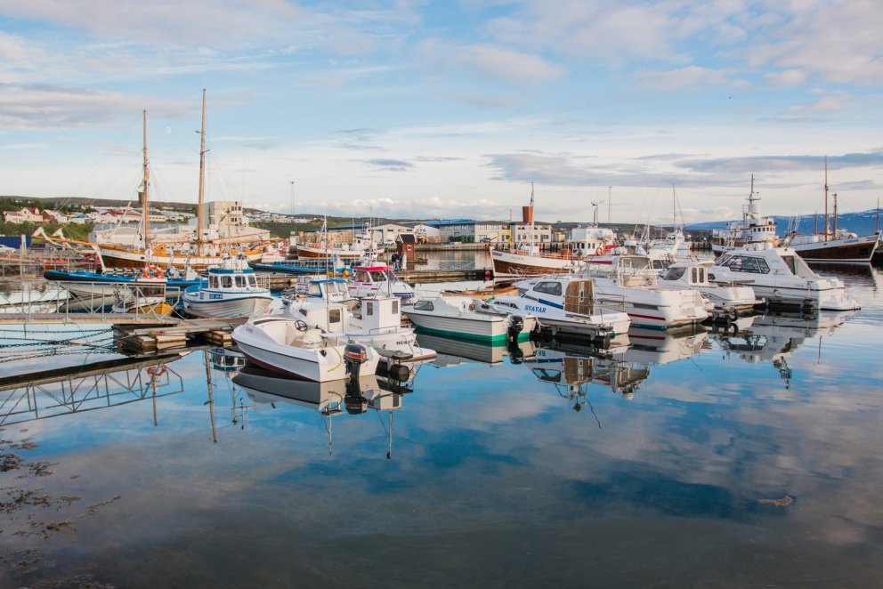 Pistill framkvæmdastjóra - febrúar