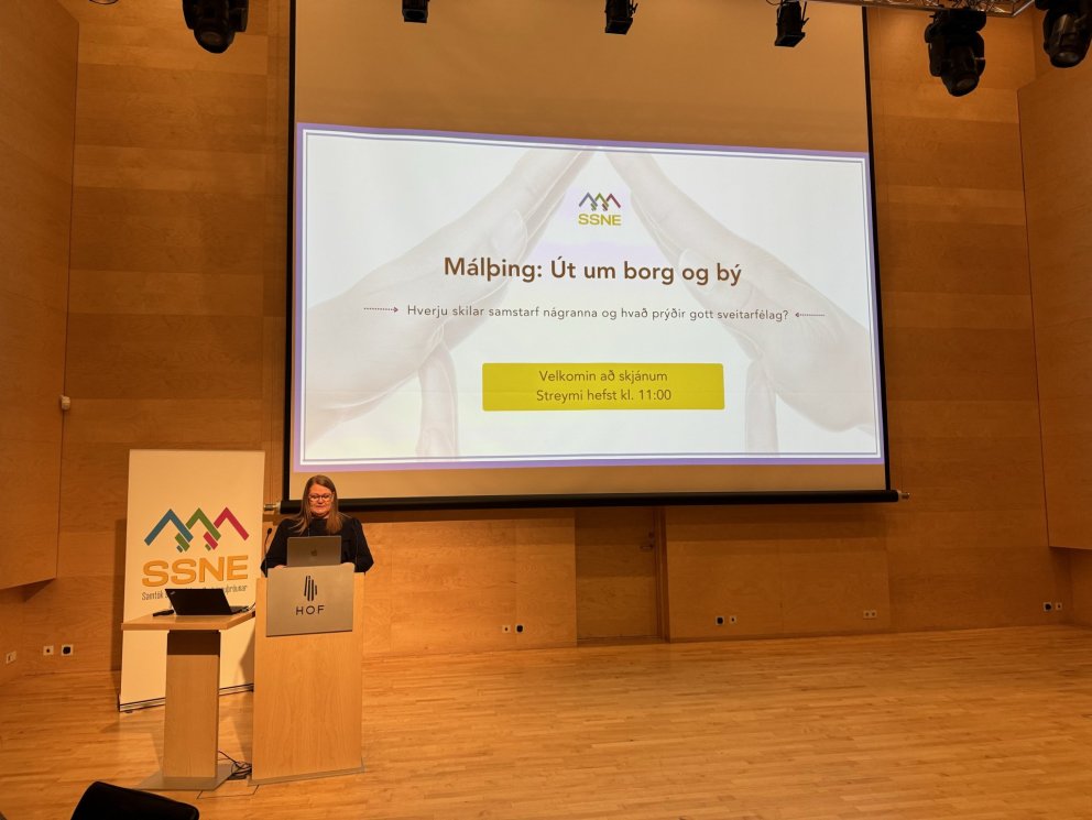 Vel sótt málþing SSNE - Út um borg og bý