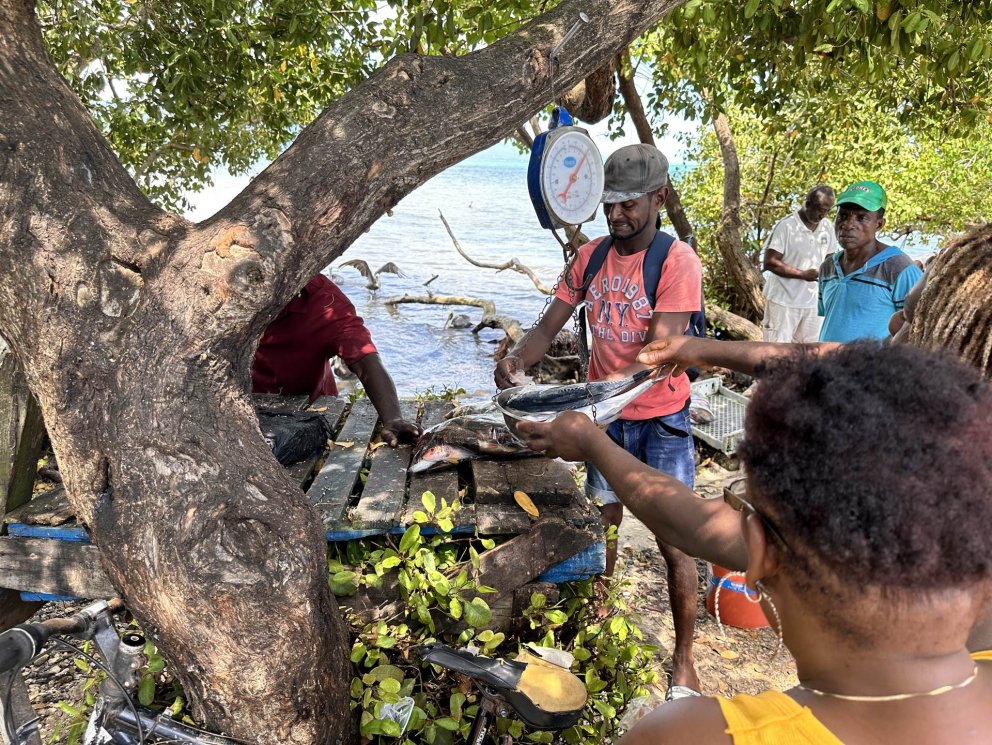 Heimsmarkmiðasjóð atvinnulífsins um þróunarsamvinnu kallar nú eftir umsóknum íslenskra fyrirtækja um…