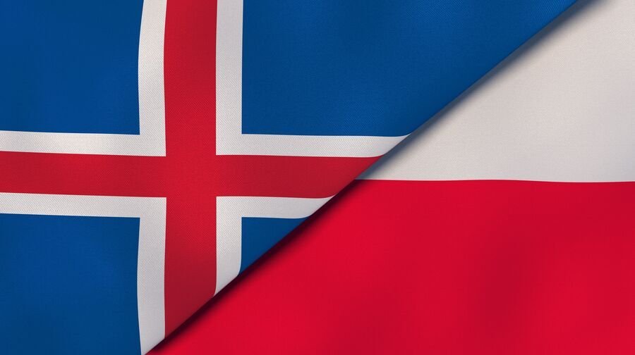 Auglýst eftir umsóknum um styrki til samstarfsverkefna Íslendinga og Pólverja á sviði menningar