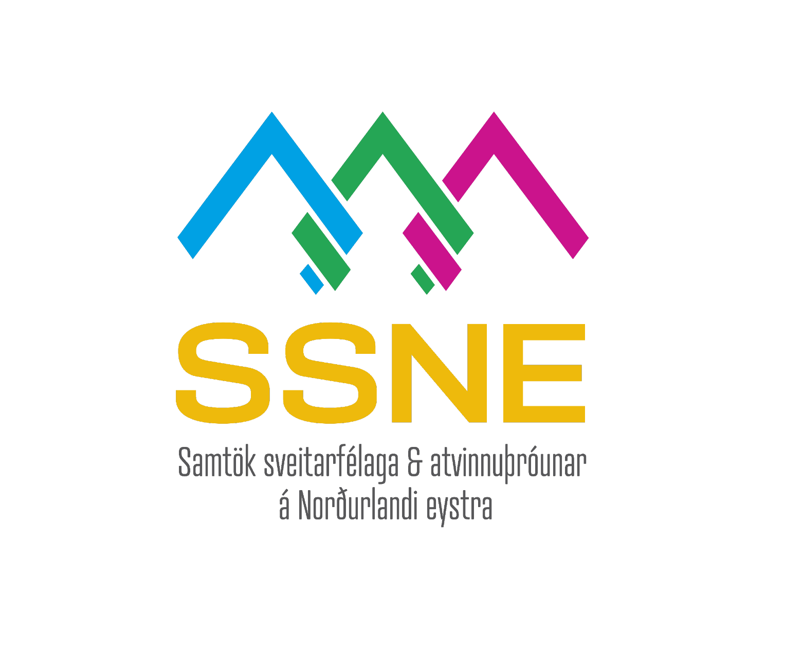 SSNE auglýsir eftir verkefnastjóra