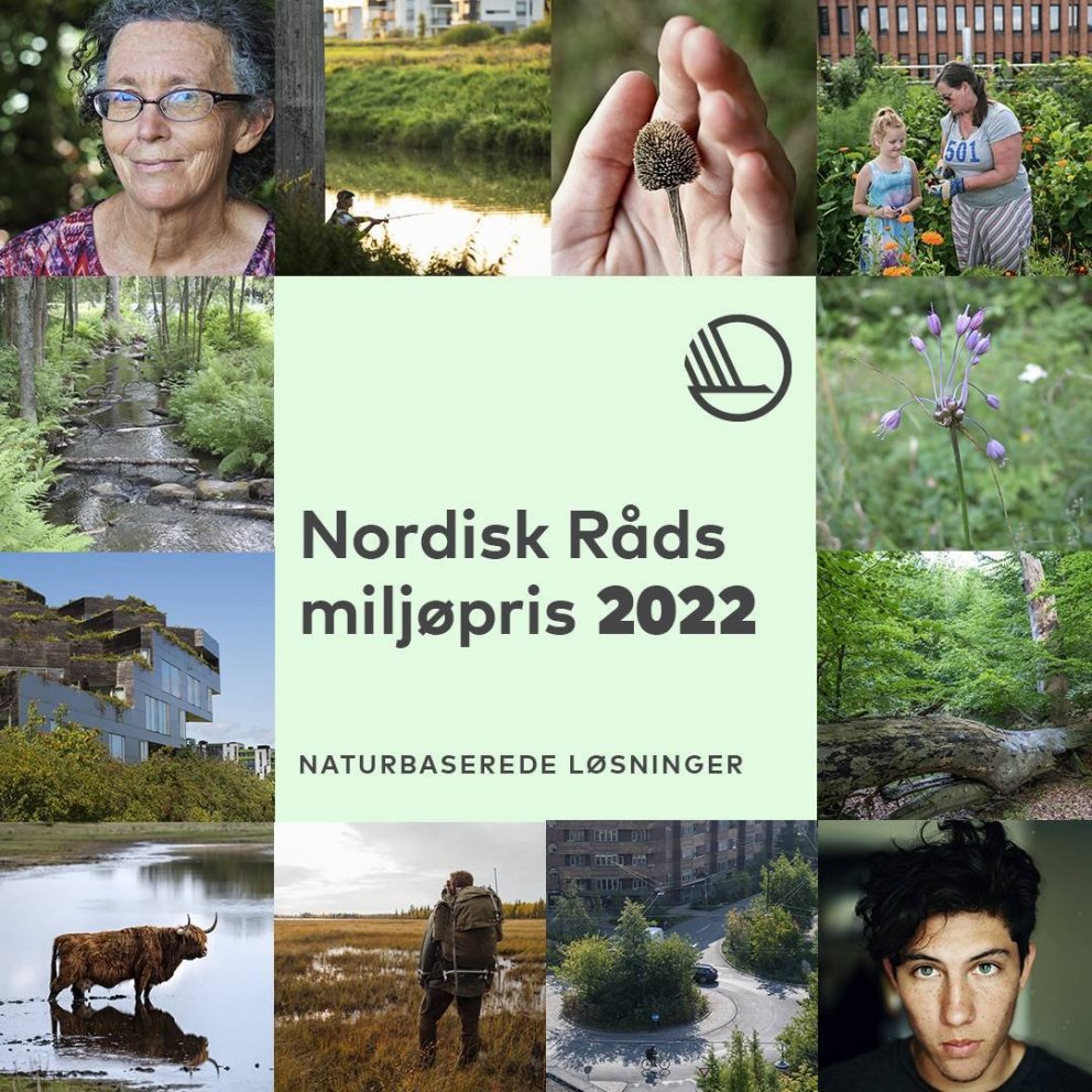 Kallað eftir tilnefningum umhverfisverðlauna Norðurlandaráðs 2022