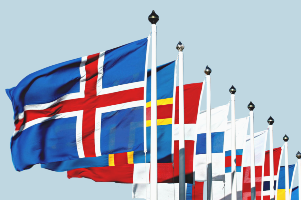 Einstaklingar, hópar, stofnanir, félög, fyrirtæki (opinber og einkafyrirtæki) geta sótt um undirbún…