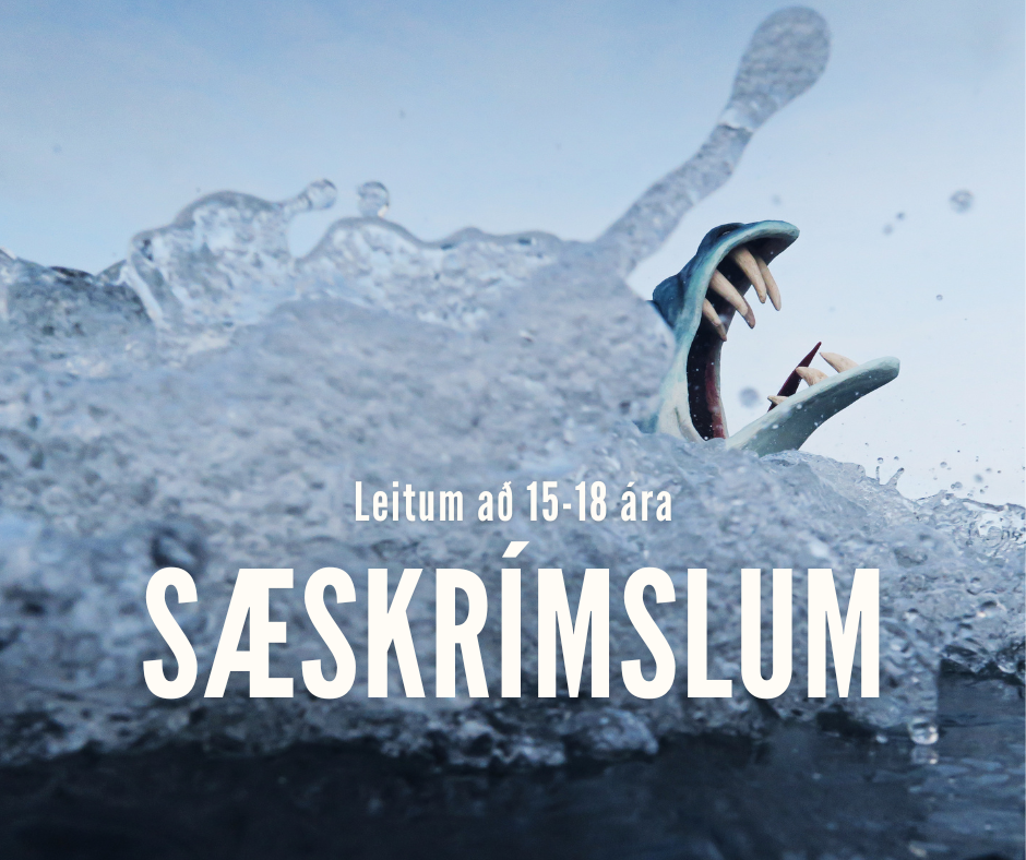 Ungmennum á svæðinu er boðið á námskeið og þátttöku í götuleikhúsi á Húsavík