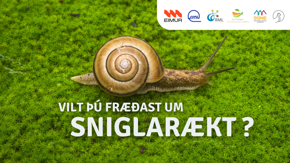 Viðburðir á Norðurlandi eystra - Vilt þú fræðast um sniglarækt?