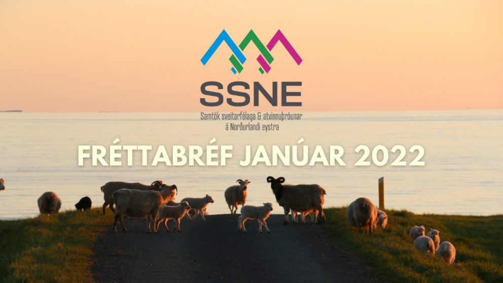 Fyrsta fréttabréf ársins 2022 er komið út