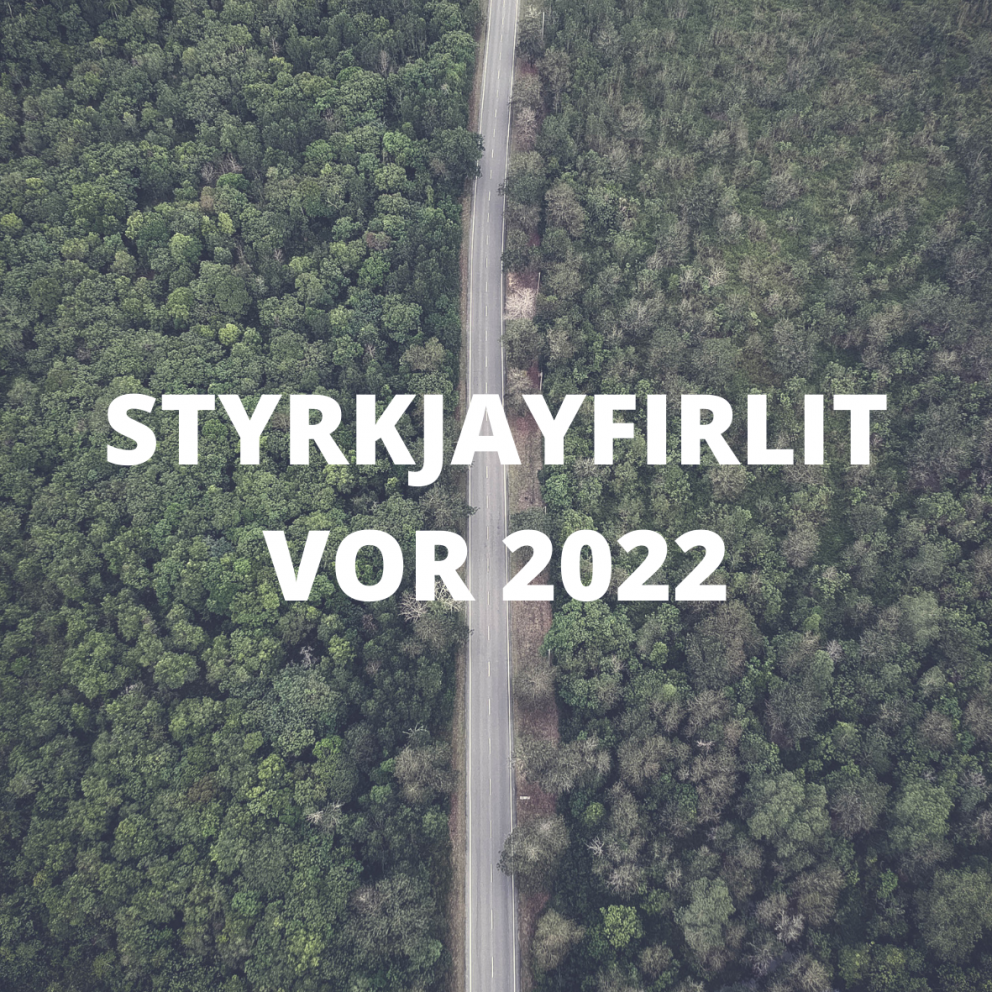 Styrkir vorið 2022
