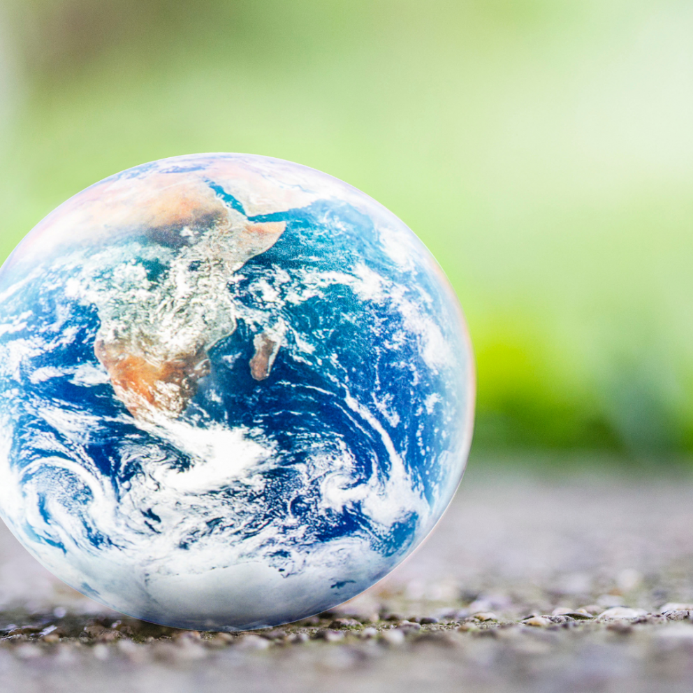 Umhverfismál á heimasíðu SSNE