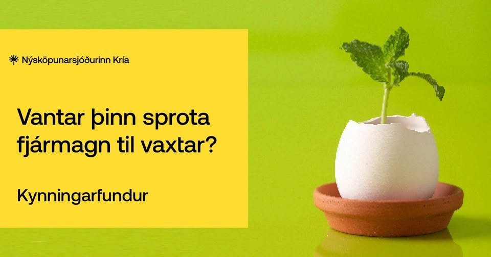 Nýsköpunarsjóðurinn Kría opnar fyrir umsóknir í nýtt fjárfestingaátak