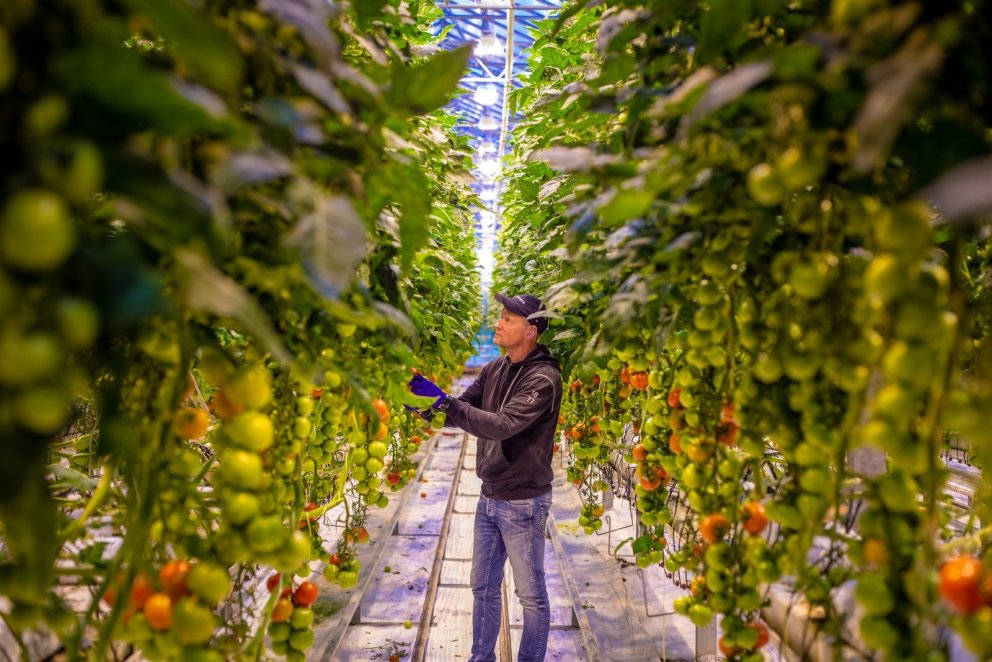 Opið fyrir styrkumsóknir vegna svæðisbundinnar flutningsjöfnunar