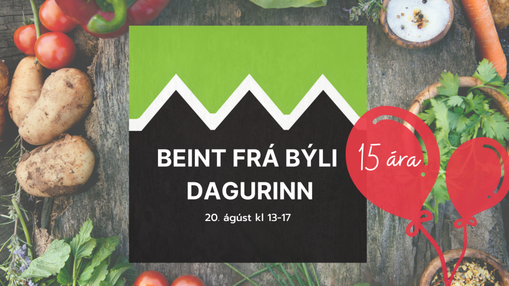 Beint frá býli dagurinn: Afmælishátíð í Holtseli