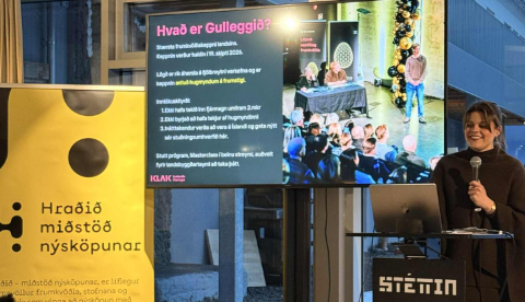 Viðburðirnir fóru fram í Drift EA og Hraðinu í samstarfi við SSNE