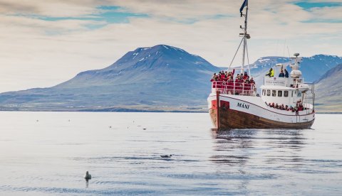 Ljósmynd: Markaðsstofa Norðurlands