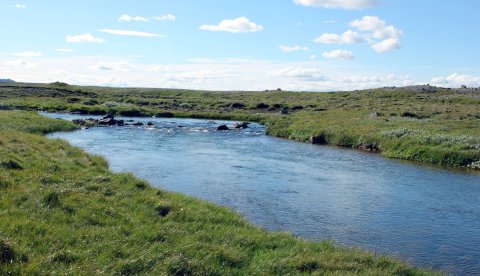 Deildará við Raufarhöfn