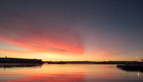 Mynd:  Gunnar Páll Baldursson