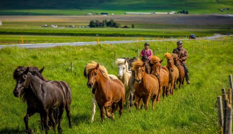 Ljósmynd: Markaðsstofa Norðurlands